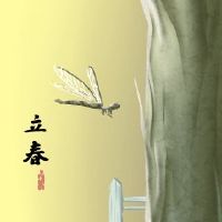 李宝贝，出生，出生，善良，老虎年度，老虎年的发源地