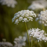 2019年7月19日出生的女孩的名字是什么？五个要素是什么？