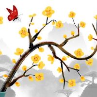 本命年犯太岁佩戴什么比较好 桃木梳帮助本命年女性辟邪