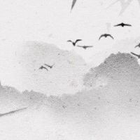 八字事业东旺 食伤制杀家业发扬光大