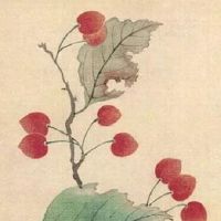 百货店名取名字大全免费 有创意的店铺起名技巧