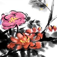 本命年放生可以避灾吗 本命年放生增福报