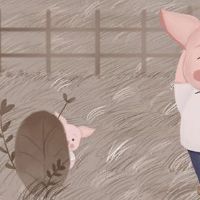 十二生肖猪2022岁和财富年龄2022岁