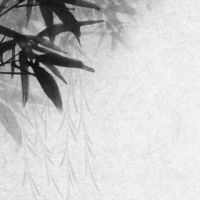 1999年属兔男和1998年属虎女 和而不同的一对