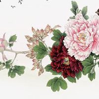 新能源号牌自编规则 盘点汽车大吉牌号数字