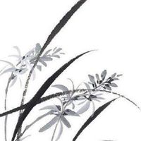 二手车网上选牌照流程 自编选号看牌靓号