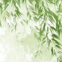 十三个月的第一个月，第一个月的含义是什么，当光线在光线上