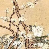 情侣手机号多少钱一对 稀有带财的手机靓号