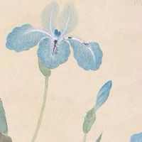 移动情侣号码选号 能改运的手机号码