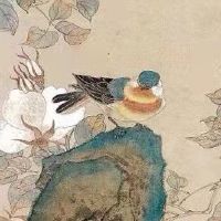 96年属鼠25岁有一灾吗 情路坎坷不如意