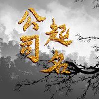 营业执照起名字参考大全带华字的 有朝气的公司名字