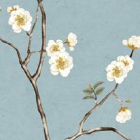 属猴交运忌什么属相 五行看最佳交运时辰