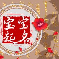 孩子姓名的名称是2022年的第一个月的男性点的名称