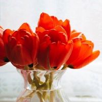 2022年5月7日结婚好吗 是不是吉利好日子