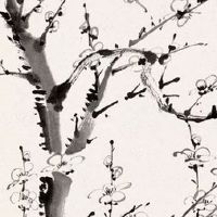 车牌号顺子号好不好 热门旺运的车牌号码