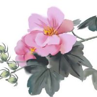 本命年考试需要注意什么 穿红帮助本命年考试自信从容