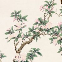 本命年管别人要硬币对别人好吗 本命年要福牌有福报