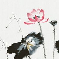 本命年改名字会顺利一点吗 改名是改变运势的唯一方法吗