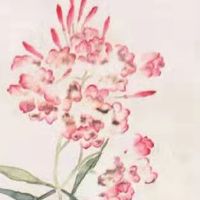 属虎2022上半年运气如何 "岁驾"吉星照拂职场走高