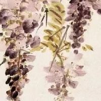 土命人干什么行业容易发 金融行业潜力大