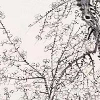 86年虎多大年纪容易离婚 在36岁婚姻易出问题