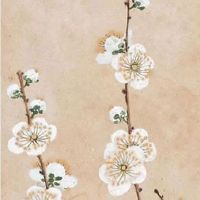 信息技术公司名字推荐 旺运的企业取名大全