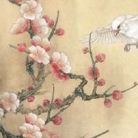 82年属狗大海水命缺什么 缺木缺土需注意前半生发展