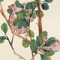 咨询管理公司名字大全 新秀美好的企业取名