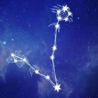 双鱼座2022财富[双鱼座2022婚]