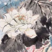 车牌456顺子号价格 顺子号和豹子号哪个贵