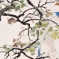 车牌456顺子号的意义 顺口吉利的车牌号码