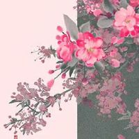 八零年猴一生命中注定 这一年生肖猴最适宜婚配对象