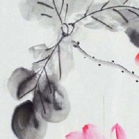 最新财务咨询公司取名 有涵养企业起名推荐