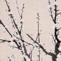 豹子号手机号值多少钱 号码靓号的价值判断