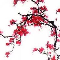 2022新年新电话号码 连号大吉的手机号码