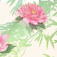 驾驶测试公司名为Daquan Free 2022公司名称技能