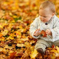 2022年11月23日，男婴的诞生五行缺乏热情和活力。