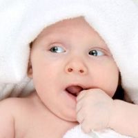 2022最新版张姓五行属火的孩子名字 缺火宝宝取名小技巧