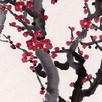 678顺子车牌号值多少钱 祥瑞吉祥的车牌号码