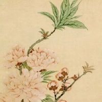 车牌012是不是顺子 号码的吉数尾号盘点