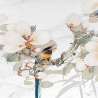 属龙交运注意什么能交个好运 交运最忌讳的属相