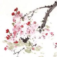 连锁精品小百货品牌 清纯朝气店铺起名推荐