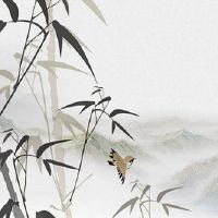 本命年虎年要注意什么佩戴什么 属虎人缓解情绪和气生财