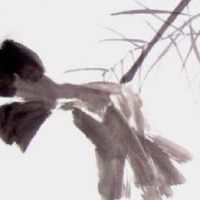 投资有限公司的名字 有文化的企业取名