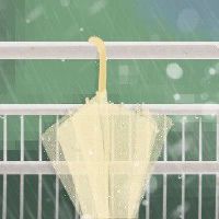 雨水三候中的二候是什么 鸿雁来天气暖