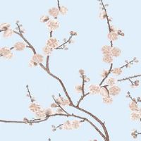 2022年5月24日是开业求财日子吗 农历四月二十三是黄道吉日吗