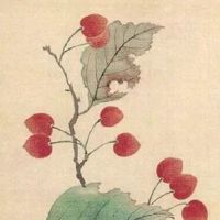 车牌号123吉利么 八字用神看吉祥号码靓号