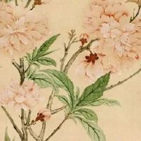 车牌顺子号和豹子号 车牌号码的顺序连号顺子