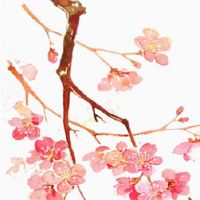 财运旺的公司名字大全 常用旺生意的企业取名用字