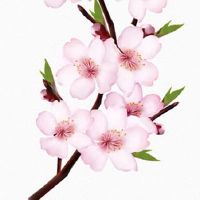 顺风顺水的劳务公司名字 大吉大利的企业取名推荐